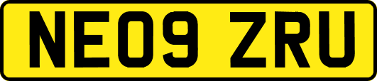 NE09ZRU