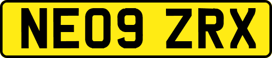NE09ZRX