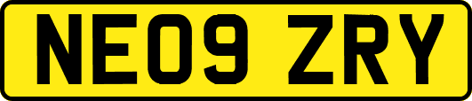 NE09ZRY