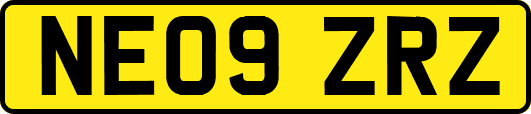 NE09ZRZ