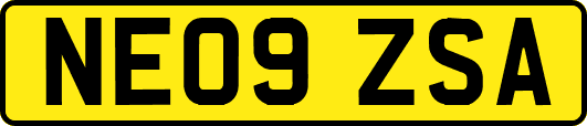 NE09ZSA