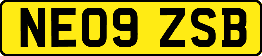 NE09ZSB