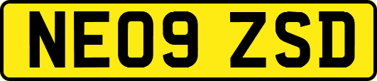 NE09ZSD