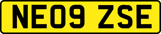 NE09ZSE