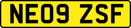 NE09ZSF