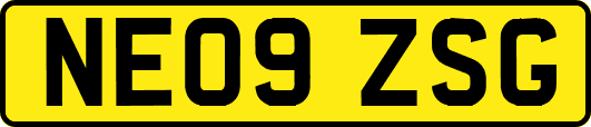 NE09ZSG