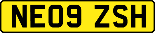 NE09ZSH