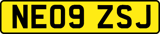 NE09ZSJ
