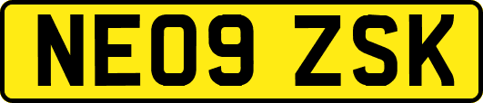 NE09ZSK