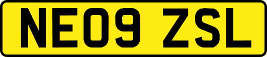 NE09ZSL