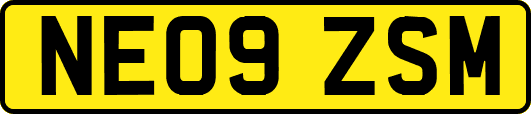 NE09ZSM