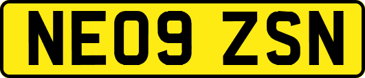 NE09ZSN