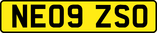 NE09ZSO