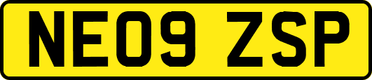 NE09ZSP