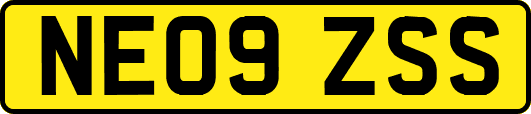 NE09ZSS