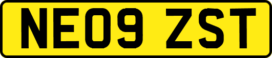 NE09ZST