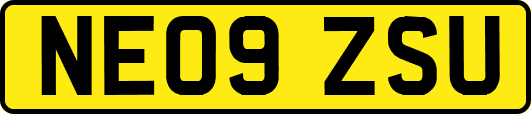 NE09ZSU