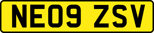 NE09ZSV