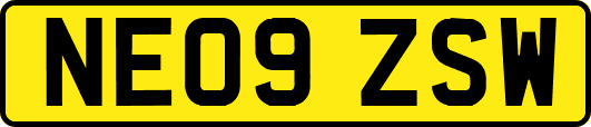 NE09ZSW