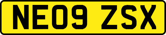 NE09ZSX