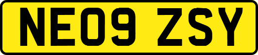 NE09ZSY