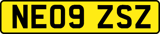 NE09ZSZ