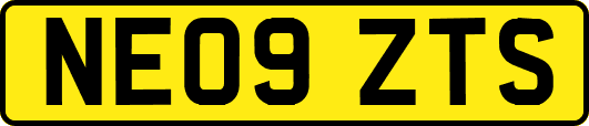 NE09ZTS