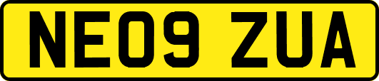 NE09ZUA