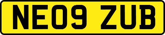 NE09ZUB