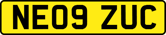 NE09ZUC