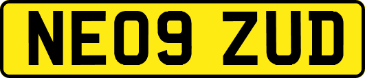 NE09ZUD