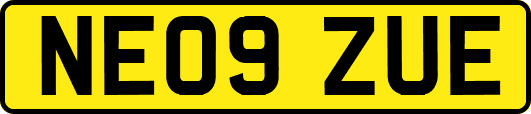NE09ZUE