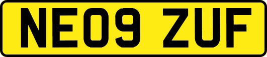NE09ZUF