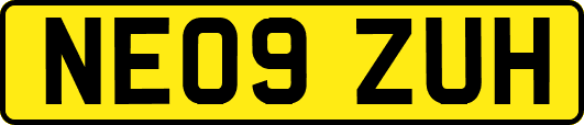 NE09ZUH