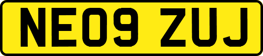 NE09ZUJ