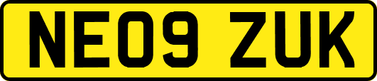 NE09ZUK