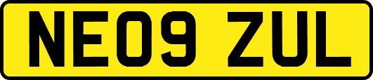 NE09ZUL