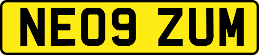 NE09ZUM