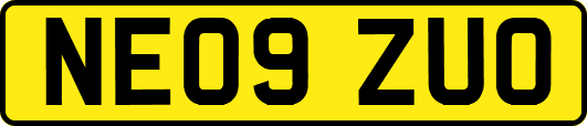 NE09ZUO