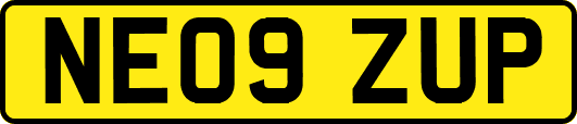 NE09ZUP