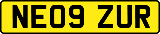 NE09ZUR