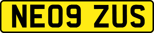 NE09ZUS