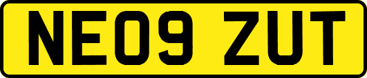 NE09ZUT
