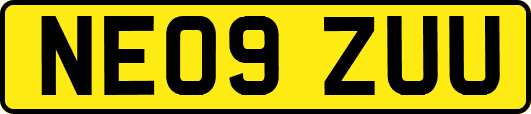 NE09ZUU