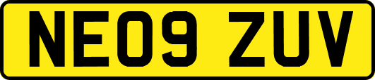 NE09ZUV