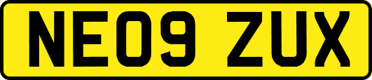 NE09ZUX