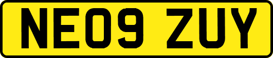 NE09ZUY