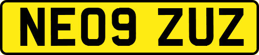 NE09ZUZ