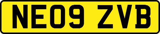 NE09ZVB