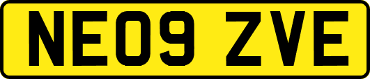 NE09ZVE